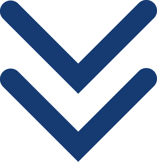 Arrow Icon Down